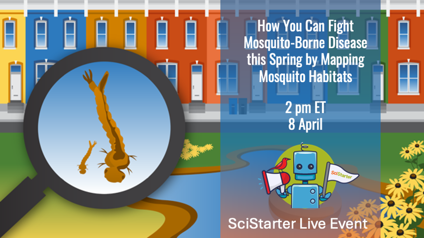 Two larvae in a magnifying glass in the foreground, with a scene of rowhouses, a pond, a tire, etc. showing examples of mosquito habitats.
